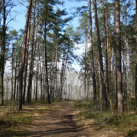 łasica Budżet Camping *